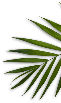 Notes Confidentielles